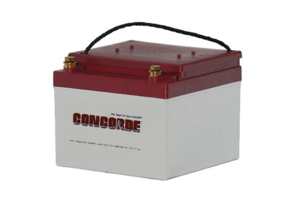 Concorde RG-24-11 Recombinant Gas Sealed Lead Acid Battery, 24V