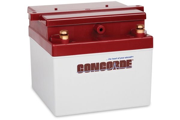 Concorde RG-24-11M Recombinant Gas Sealed Lead Acid Battery, 24V
