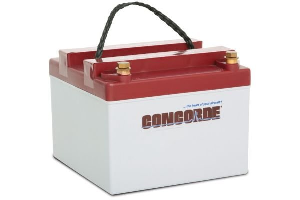 Concorde RG-24-12 Recombinant Gas Sealed Lead Acid Battery, 24V